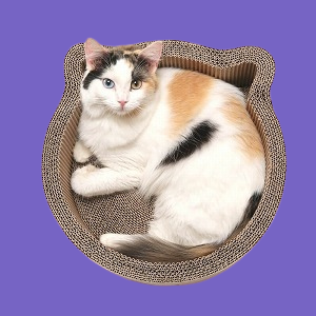 Cat Head Shaped Scratcher Bed Birch