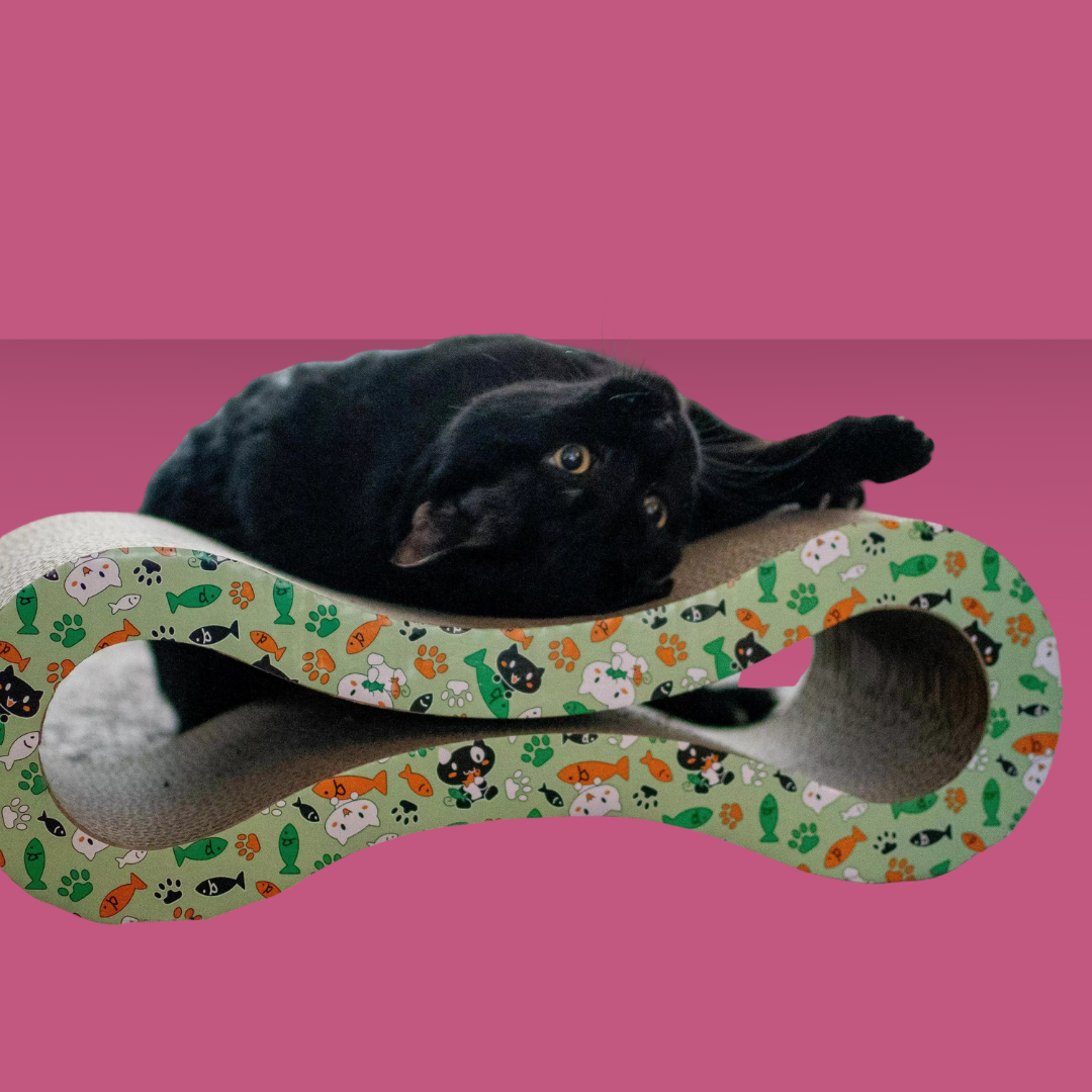 Pet Scratcher Infinity