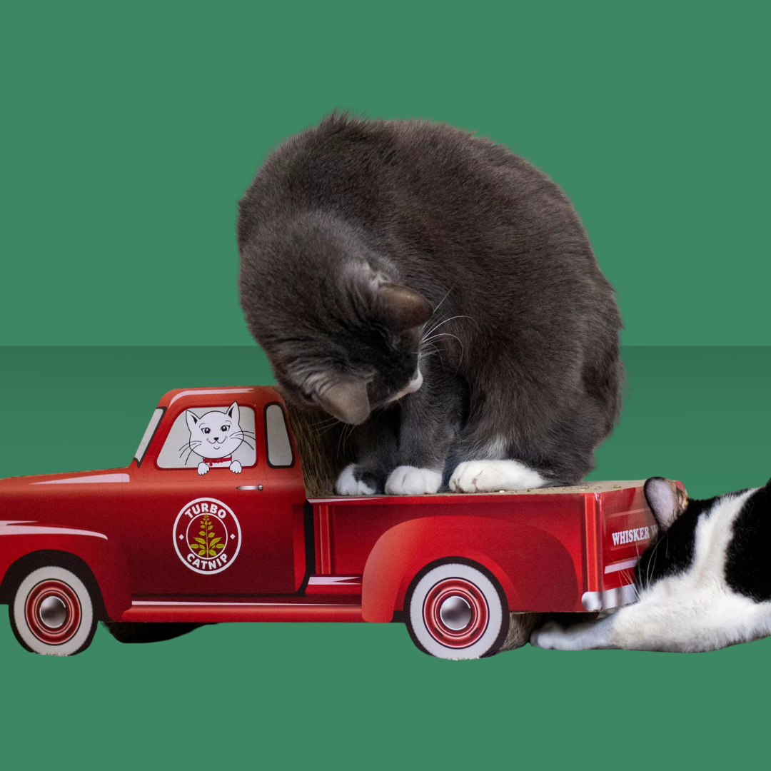 Pet Scratcher Red Truck