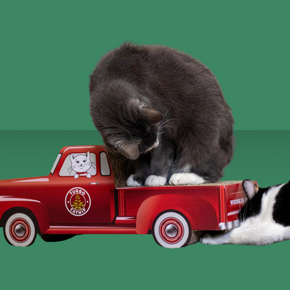 Pet Scratcher Red Truck