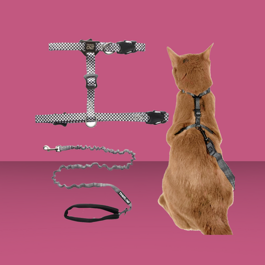 Harness and Leash Set Day Tripper Checkered