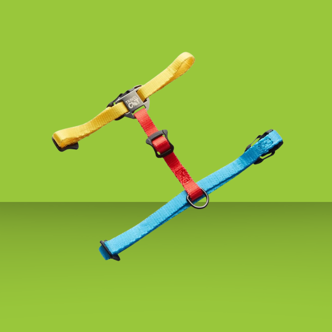 Harness and Leash Set Day Tripper Color Block