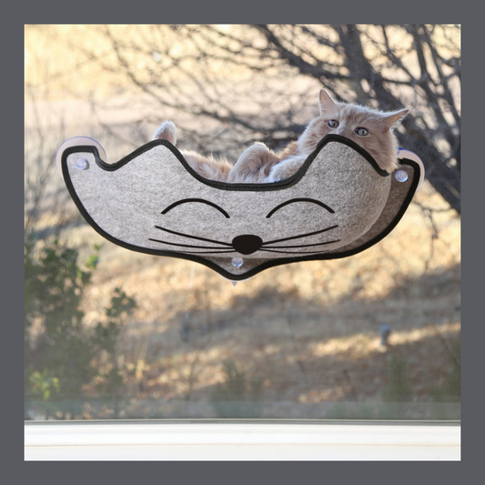 Mount Kitty Face Window Bed