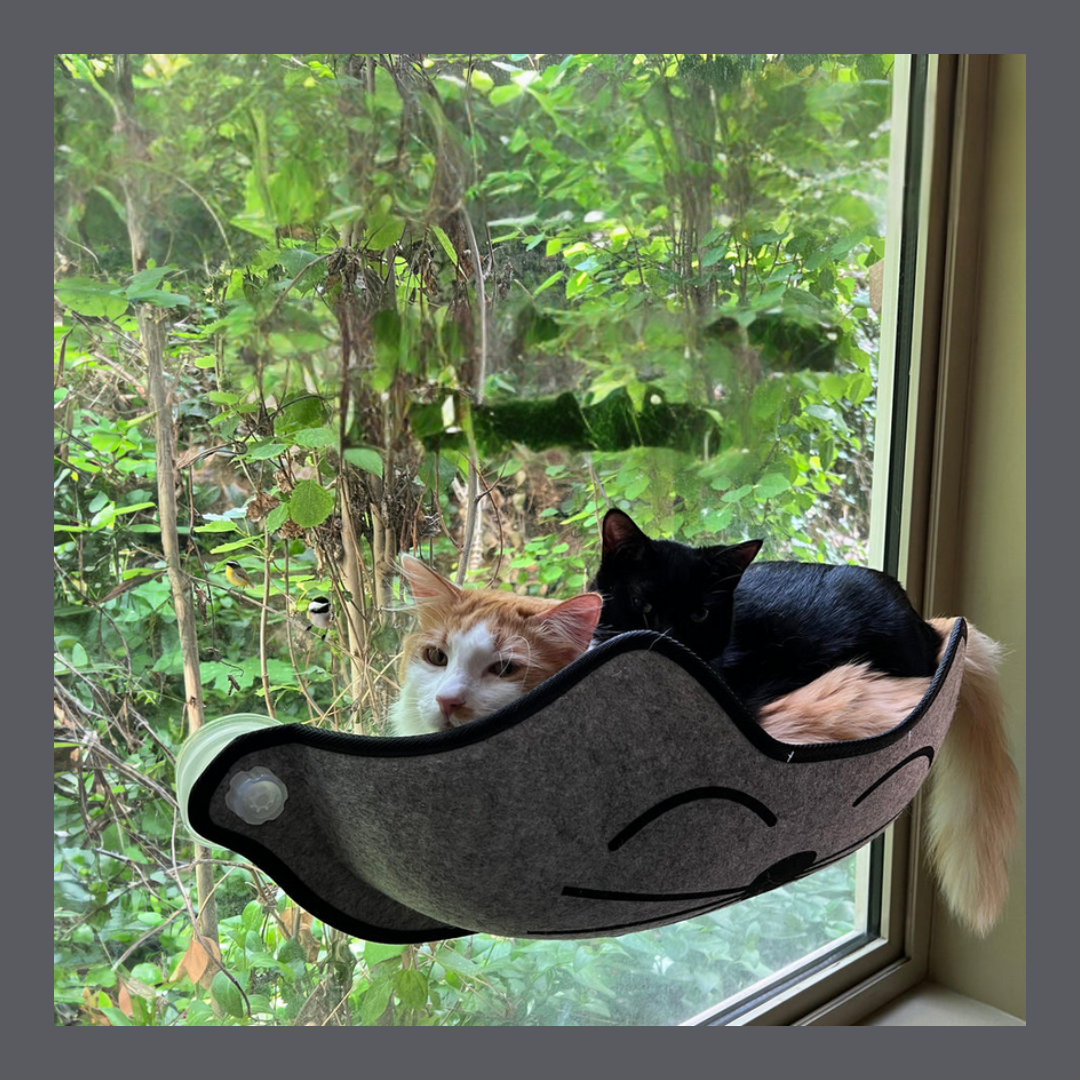 Mount Kitty Face Window Bed