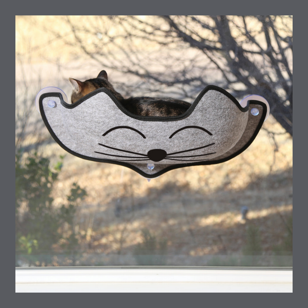 Mount Kitty Face Window Bed