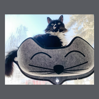 Mount Kitty Face Window Bed