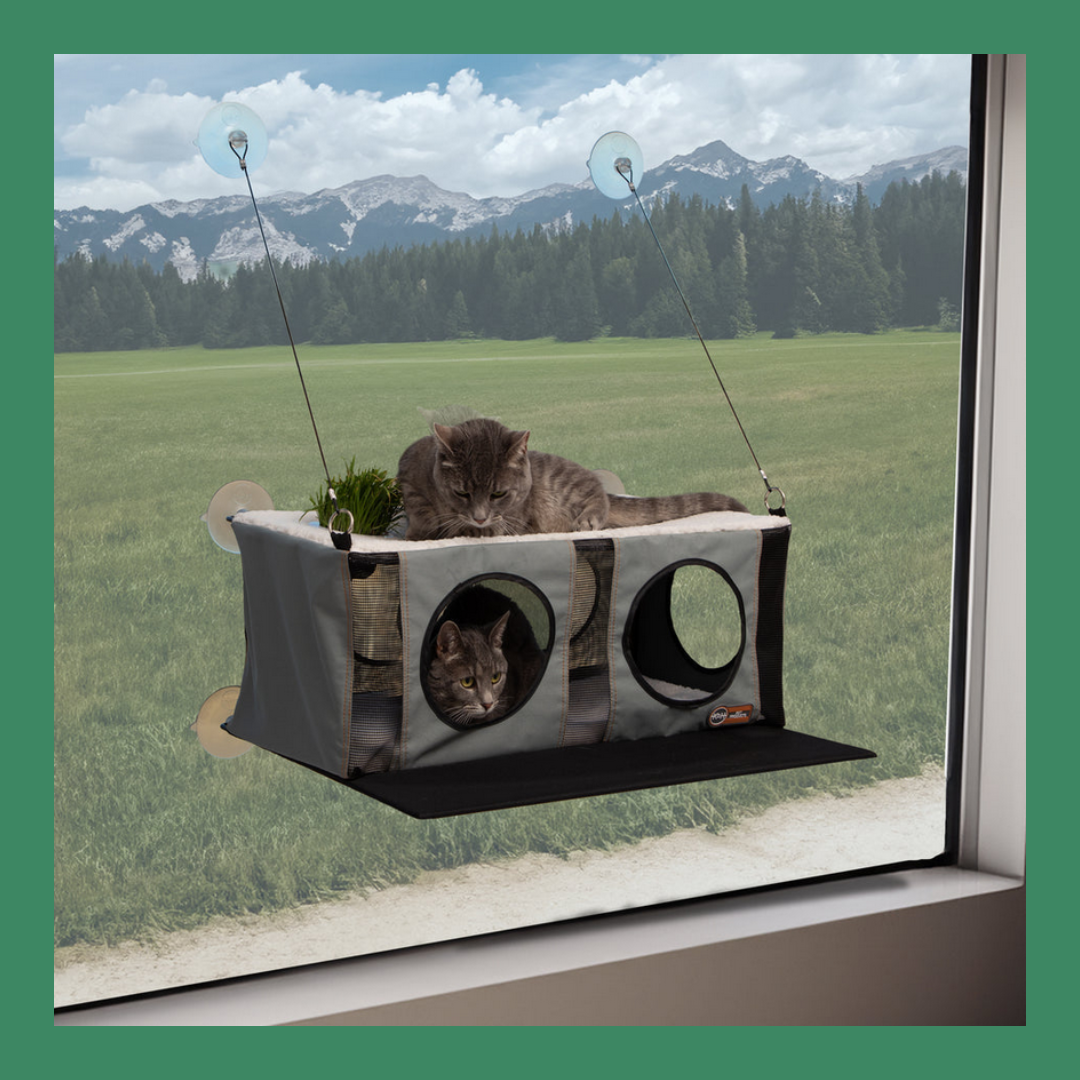 Mount Penthouse Window Perch