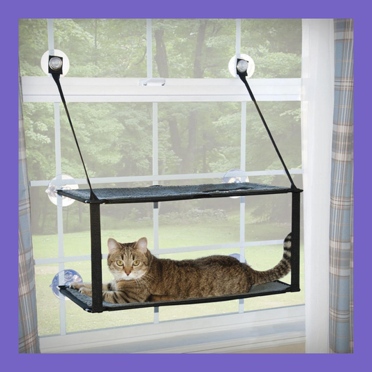 Mount Kitty Sill Double Stack