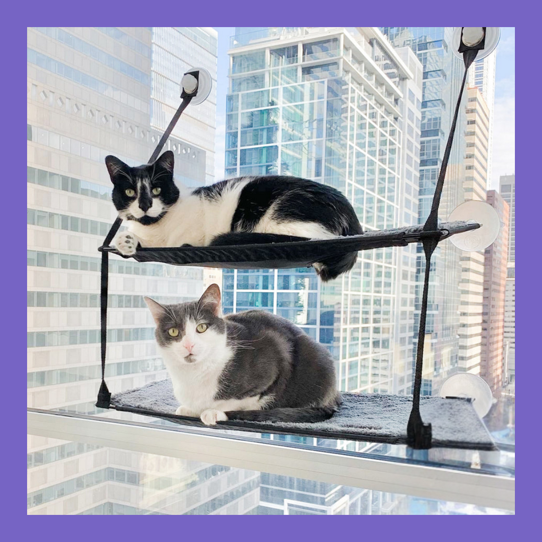 Mount Kitty Sill Double Stack