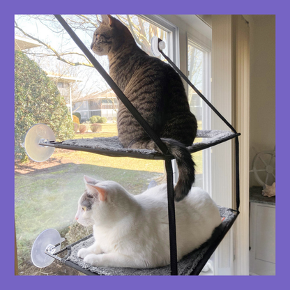 Mount Kitty Sill Double Stack